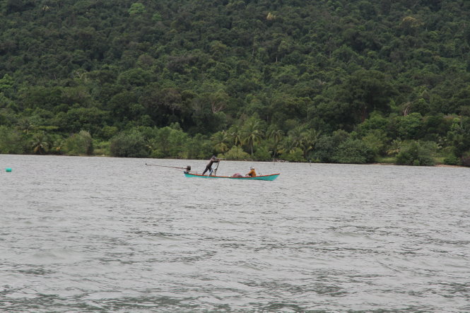 Bò[-]biển[-]chết[-]gần[-]đảo[-]Phú[-]Quốc,[-]chuyện[-]gì[-]đã[-]xảy[-]ra?
